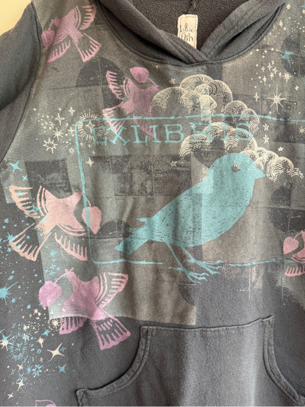 Blue Fish Black Hoodie French Terry Sweatshirt Ex Libris Birds and Books Magic ✨ - Picture 3 of 7